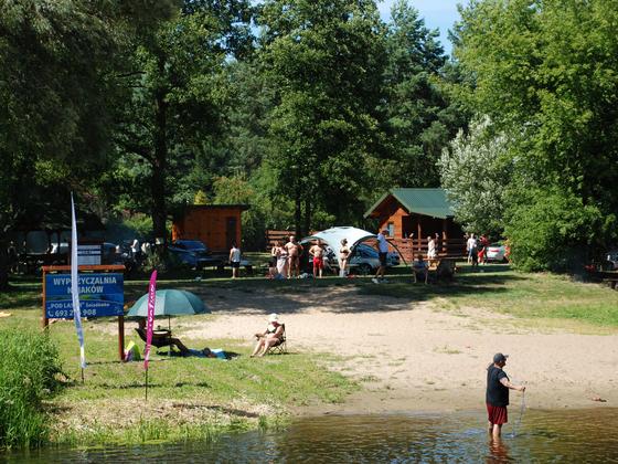 Spływy kajakowe Wkrą — galeria Kajaki Pod Lasem, zdjęcie 7
