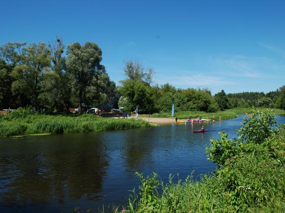Spływy kajakowe Wkrą — galeria Kajaki Pod Lasem, zdjęcie 11