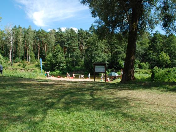 Spływy kajakowe Wkrą — galeria Kajaki Pod Lasem, zdjęcie 20