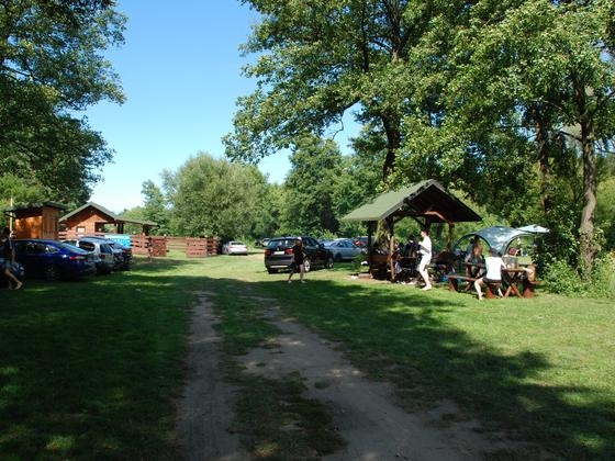 Spływy kajakowe Wkrą — galeria Kajaki Pod Lasem, zdjęcie 29