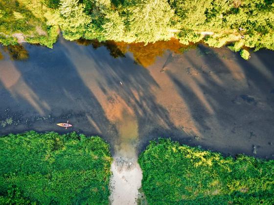 Spływy kajakowe Wkrą — galeria Kajaki Pod Lasem, zdjęcie 41