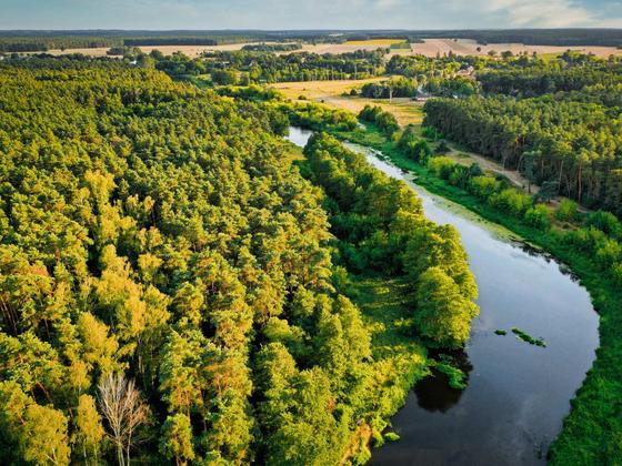 Spływy kajakowe Wkrą — galeria Kajaki Pod Lasem, zdjęcie 44