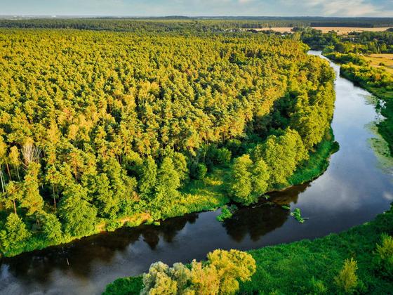 Spływy kajakowe Wkrą — galeria Kajaki Pod Lasem, zdjęcie 45
