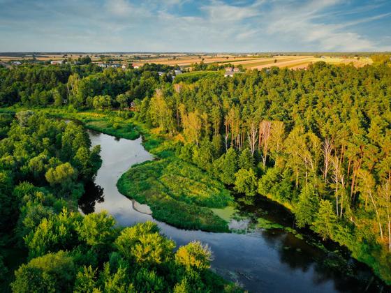 Spływy kajakowe Wkrą — galeria Kajaki Pod Lasem, zdjęcie 48