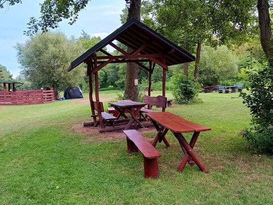 Spływy kajakowe Wkrą — galeria Kajaki Pod Lasem, zdjęcie 56